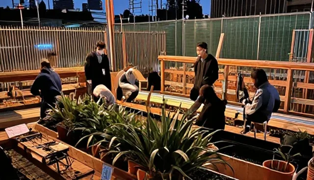 种植技术指导如何通过渠道供货提升效率